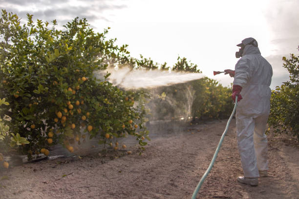  West Mayfield, PA Pest Control Pros
