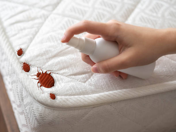 Best Pest Control Cost  in West Mayfield, PA
