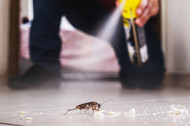 Pest Control for Restaurants in West Mayfield, PA