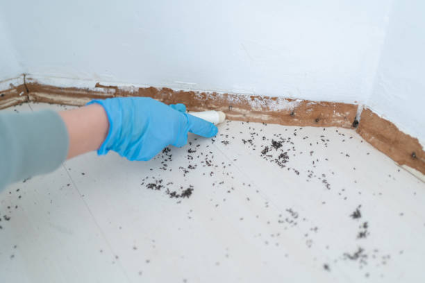 Best Pest Inspection Near Me  in West Mayfield, PA